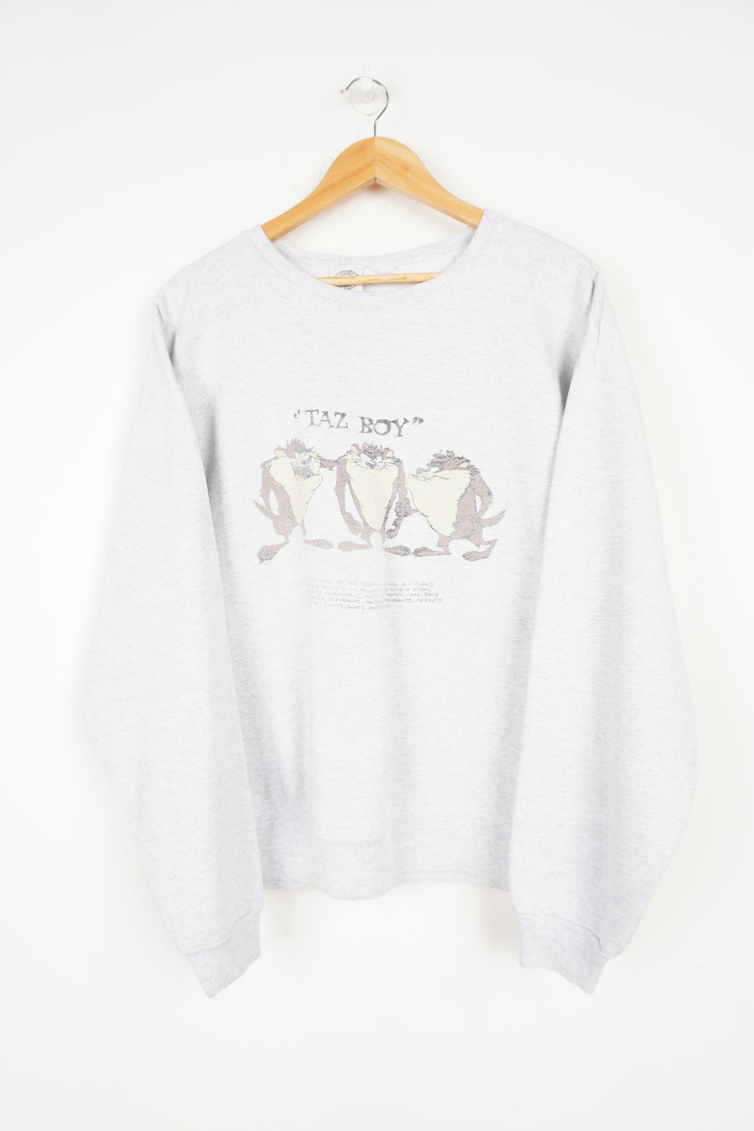 Looney Tunes Sweatshirt