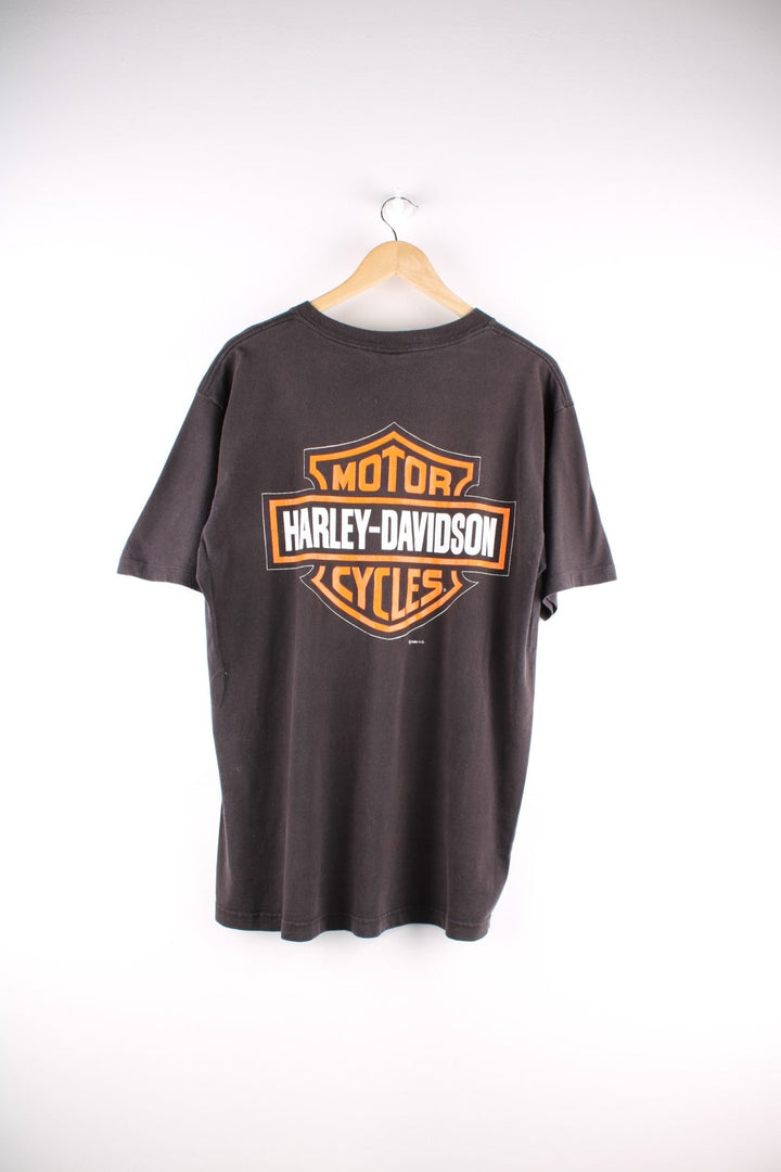 1996 Single stitch Harley-Davidson The Hottest Sound On The Road T-Shirt in black. The shirt has a large graphic on the front and back.  