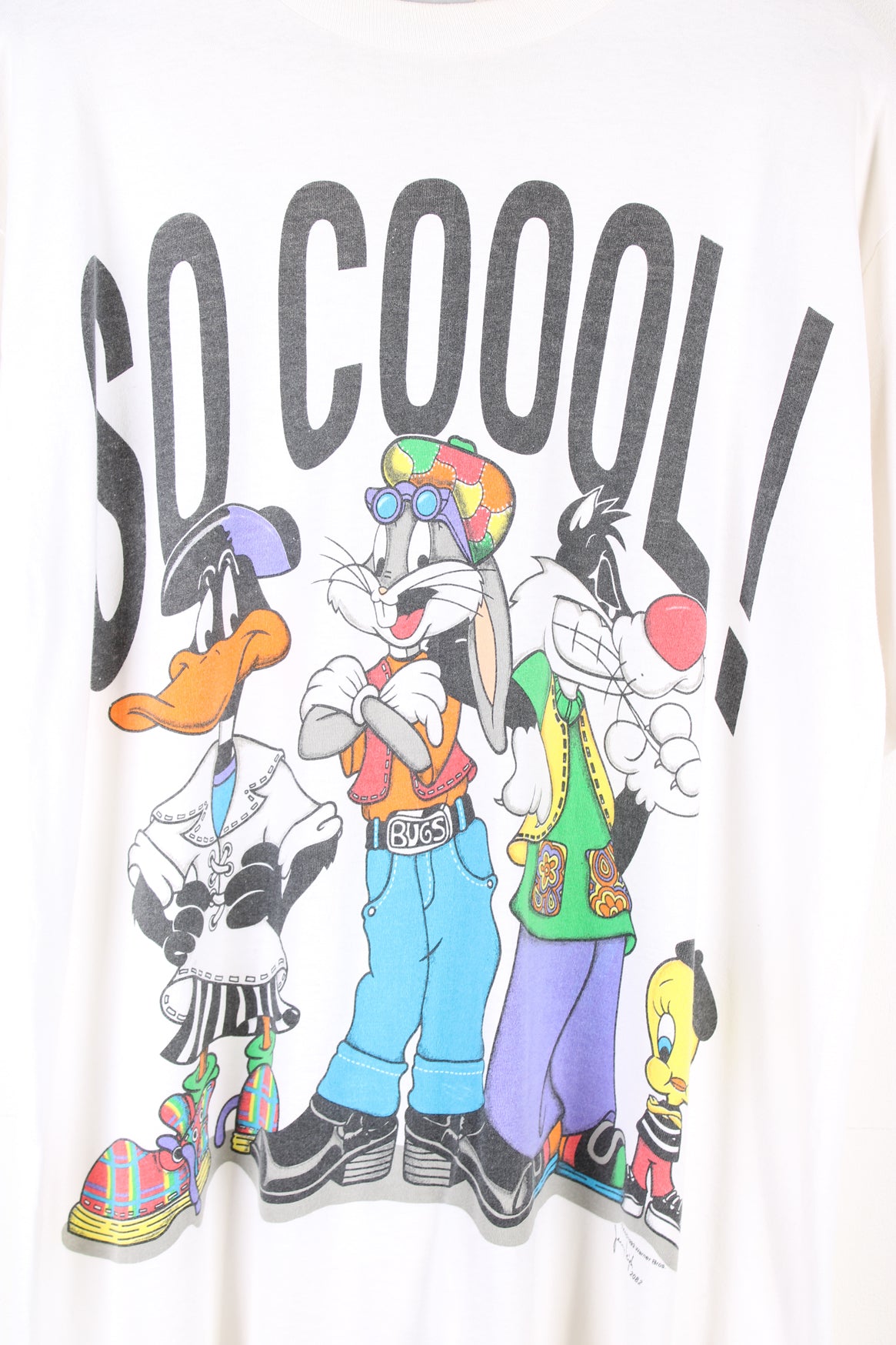 Vintage 1993 Looney Tunes single stitch t-shirt with Colorado graphic on the front. Made by Jerry Leigh.   good condition - some slight discoloration to the neck Size in Label:  Mens L