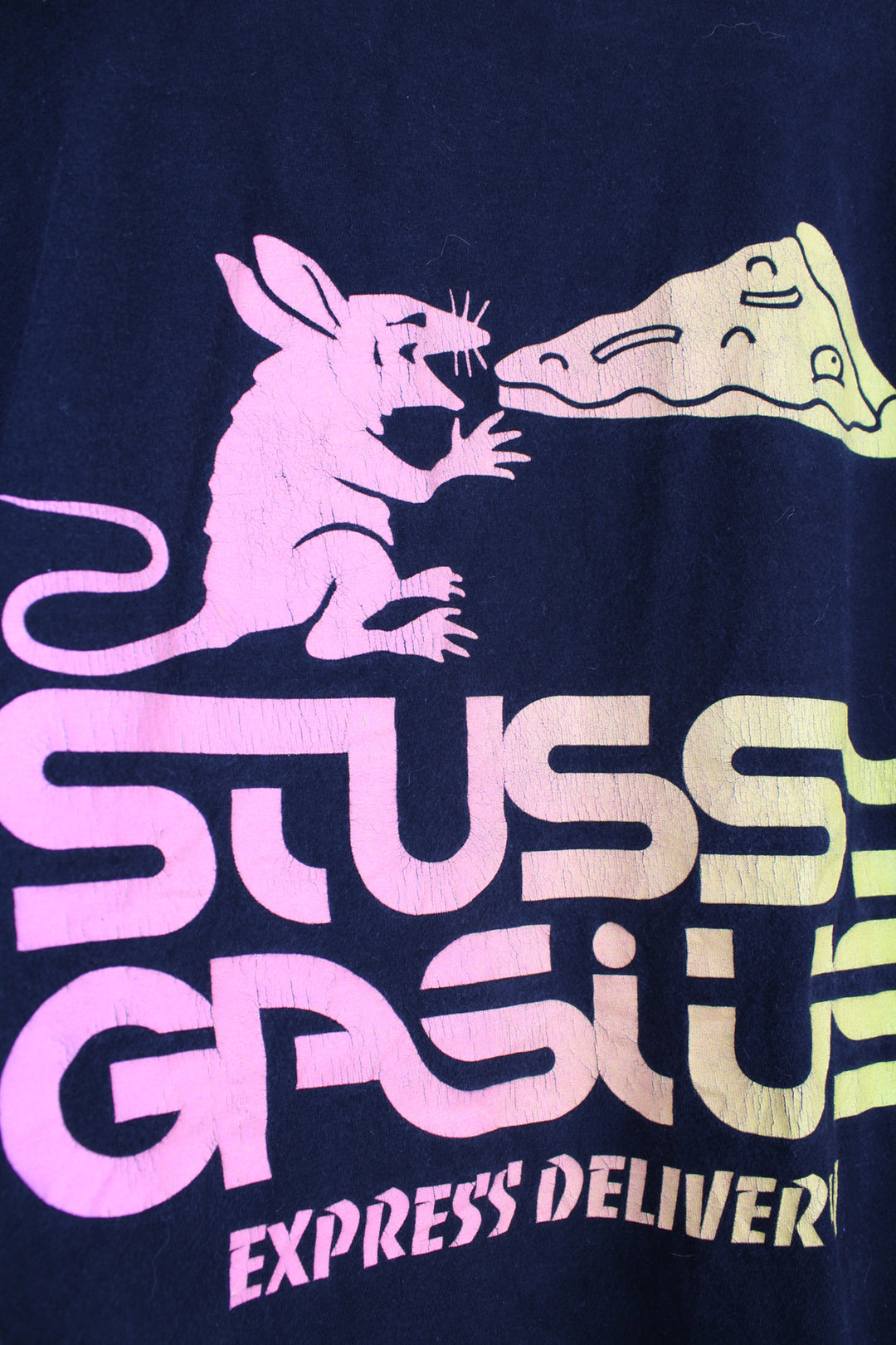 Vintage Stussy x Gasius 'Express Delivery' with spell-out graphic on the front and back