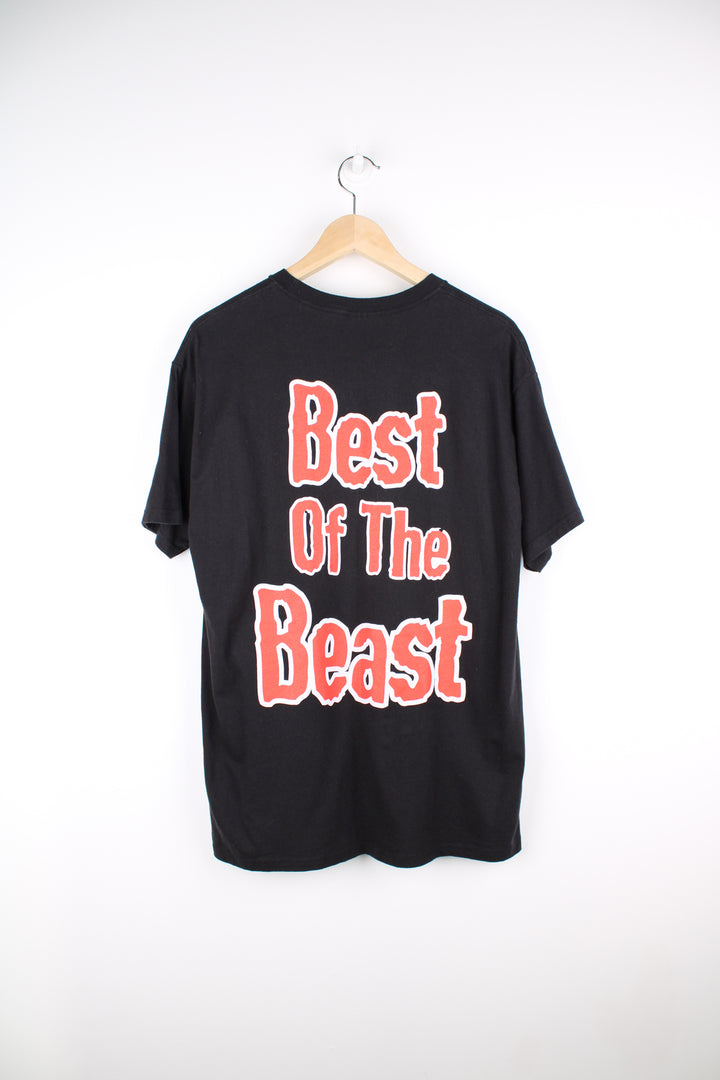 Vintage 2003 Iron Maiden "Beast of the Beast" t-shirt with single stitch sleeves. good condition Size in Label:  Mens L 