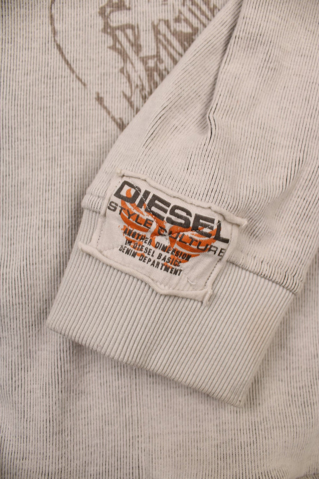 Diesel zip-through raglan sleeve cardigan in pale grey with embroidered spellouts front and back, wing designs, and a logo patch on one sleeve.