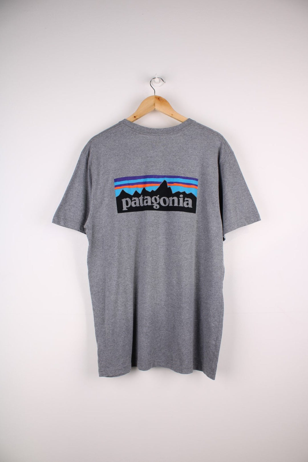 Patagonia T-Shirt in a grey colourway with the logo printed on the front and a larger graphic on the back.