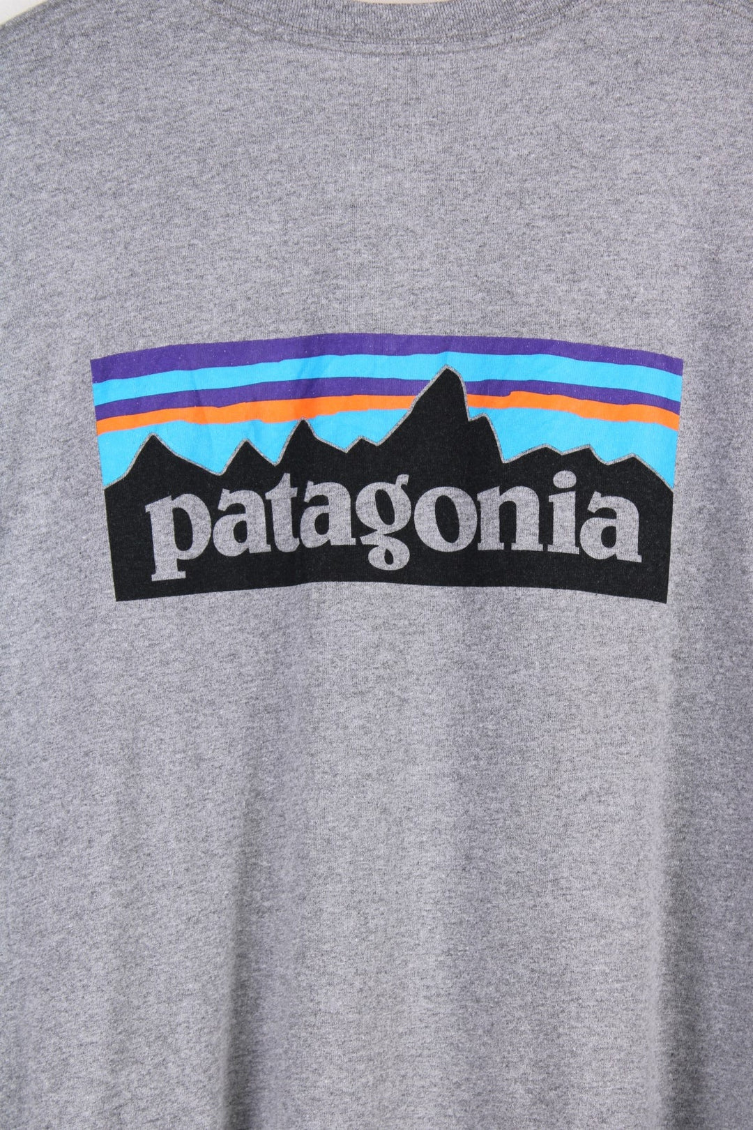 Patagonia T-Shirt in a grey colourway with the logo printed on the front and a larger graphic on the back.