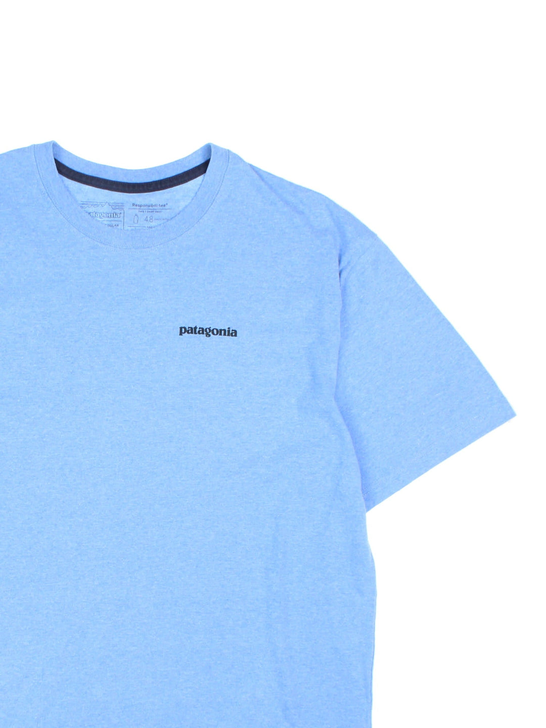 Patagonia Fitz Roy Fish T-Shirt in a blue colourway with the logo printed on the front and fish on the back.