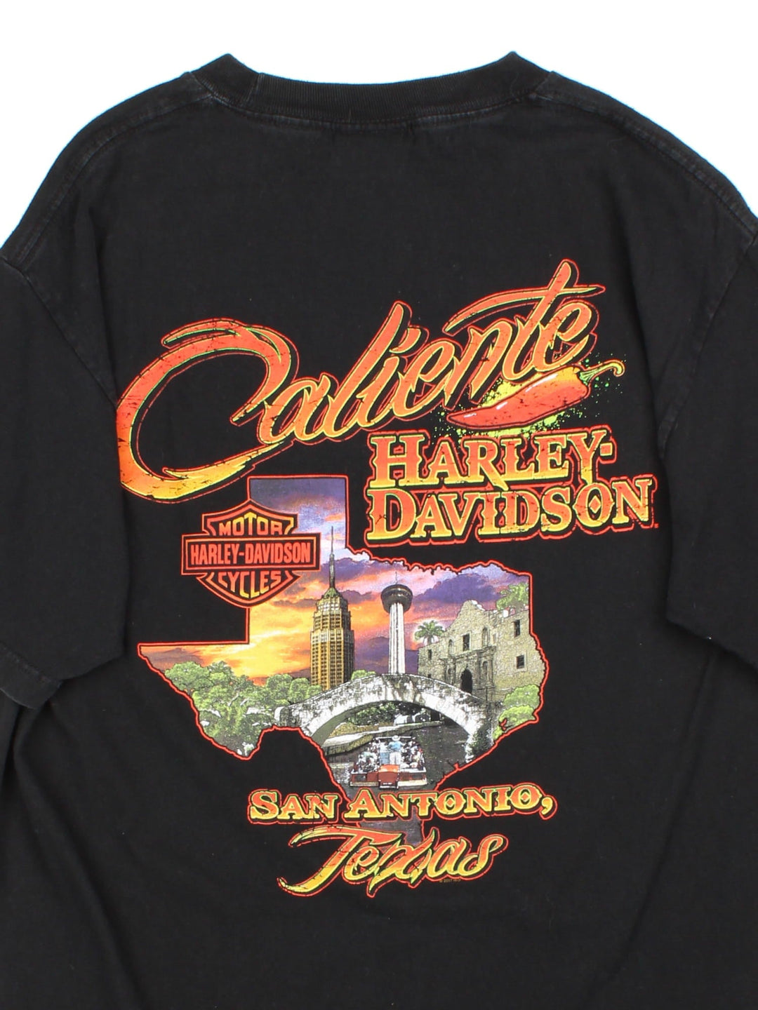 Harley-Davidson Live To Ride T-Shirt in a black colourway with graphic prints on the front and back.