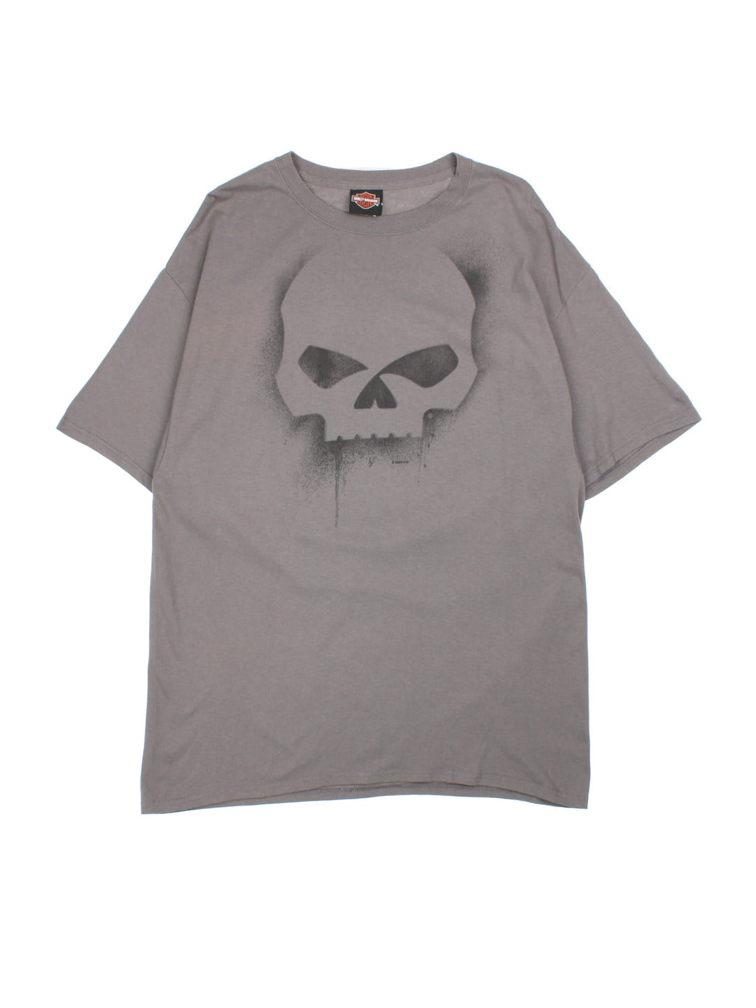 Harley-Davidson Skull Graphic T-Shirt in a grey colourway with a skull printed on the front and graphic spell out on the back.