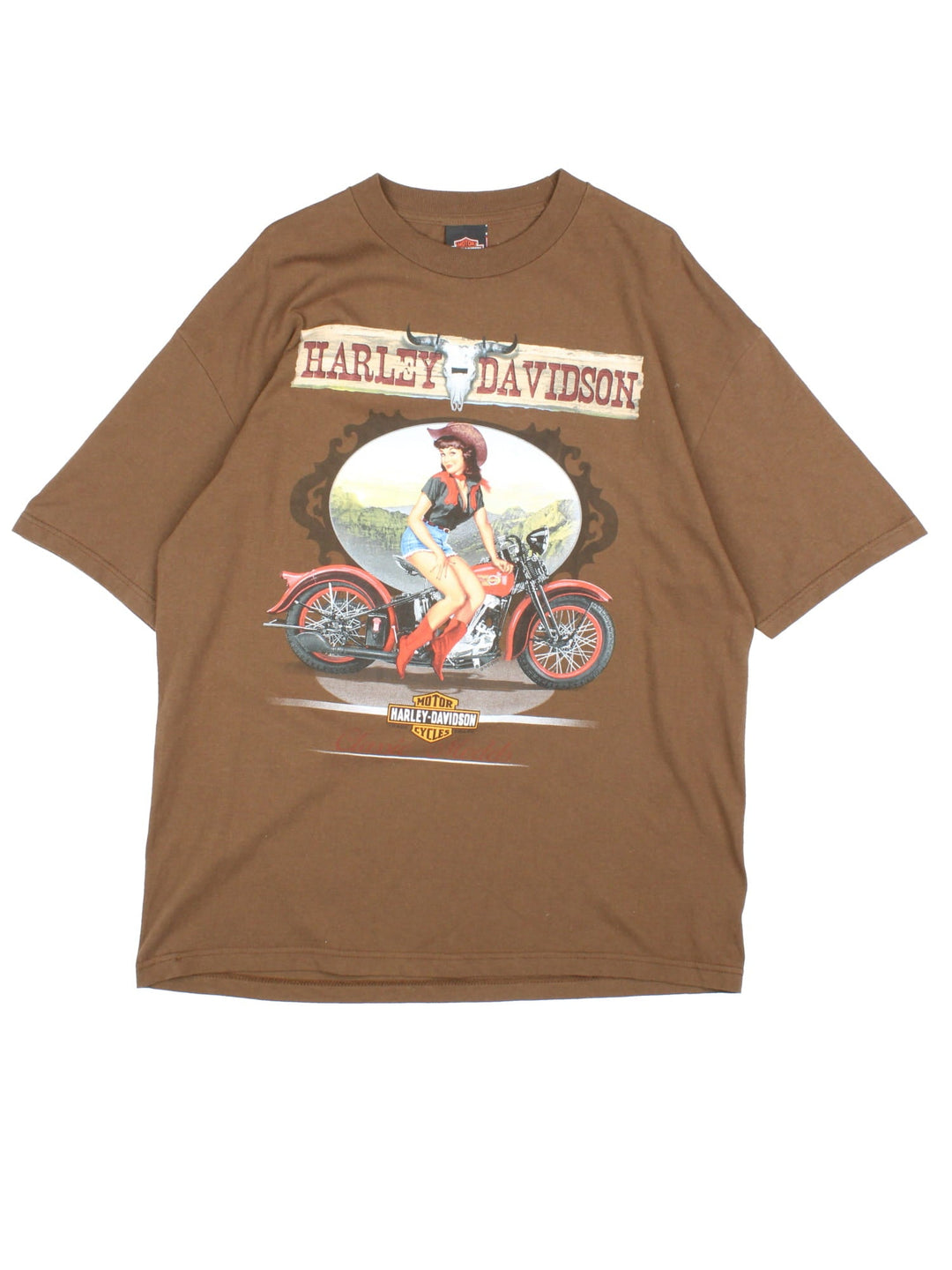 Harley-Davidson T-Shirt in a brown colourway with a graphic of a women and motorbike on the front and the logo spell out on the back.