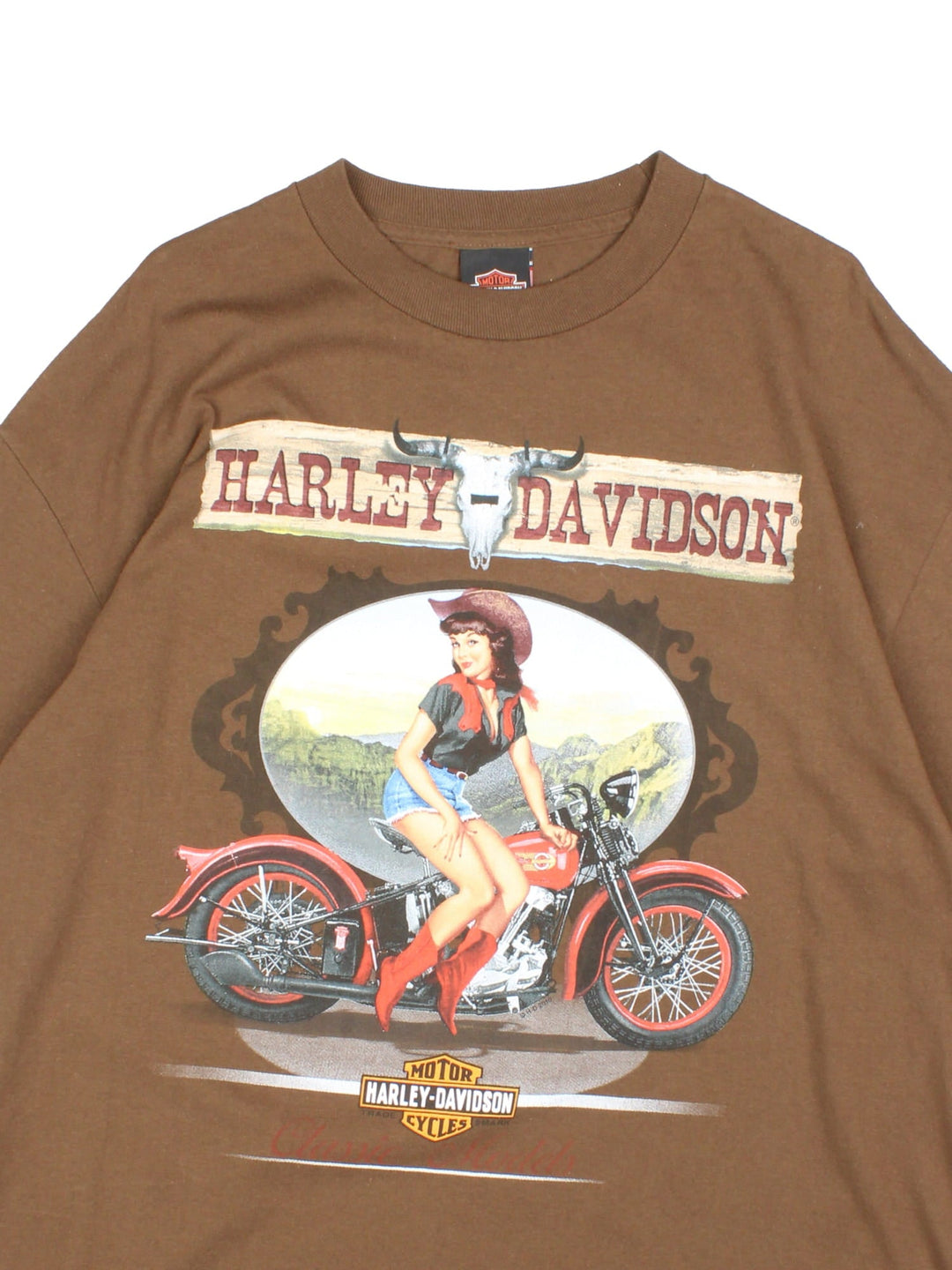 Harley-Davidson T-Shirt in a brown colourway with a graphic of a women and motorbike on the front and the logo spell out on the back.