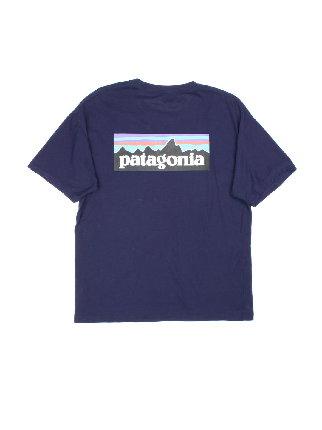 Patagonia P-6 Logo T-Shirt in a blue colourway with the small classic logo on the front and large graphic on the back.